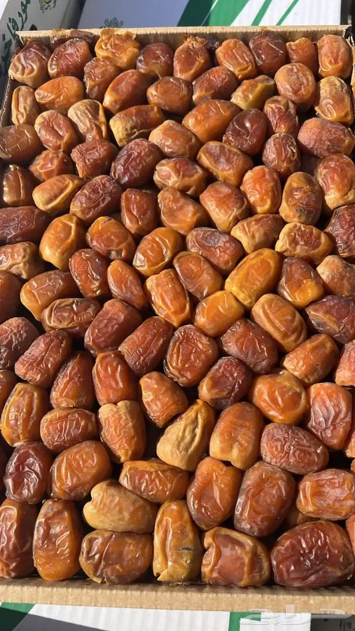 توفير جميع أنواع تمور القصيم 0