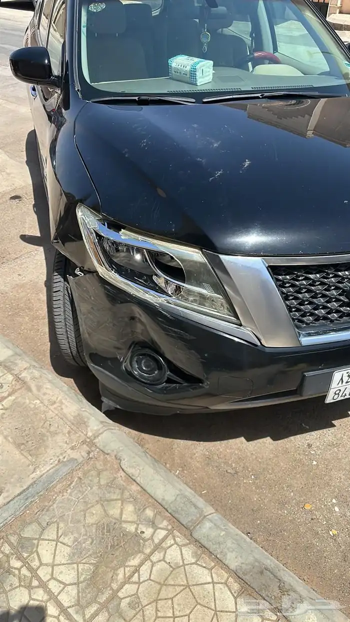 باثفندر 2014 17