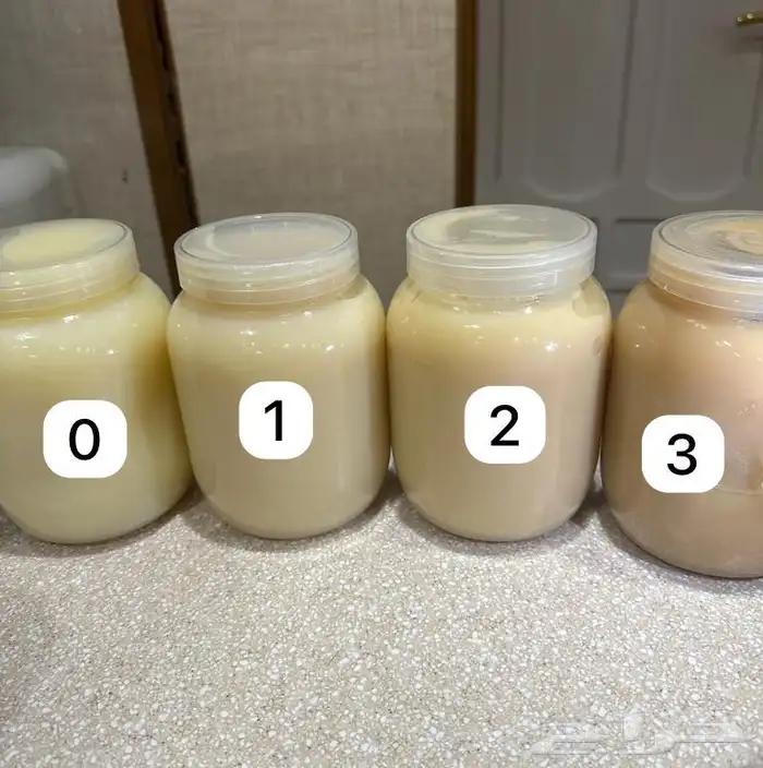 سمن ماعز للبيع 0