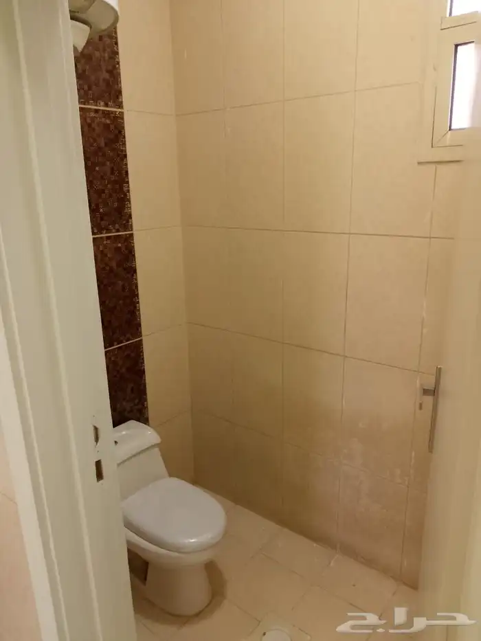 عماره للايجار بالكامل سكن عزاب بالشميسي 9