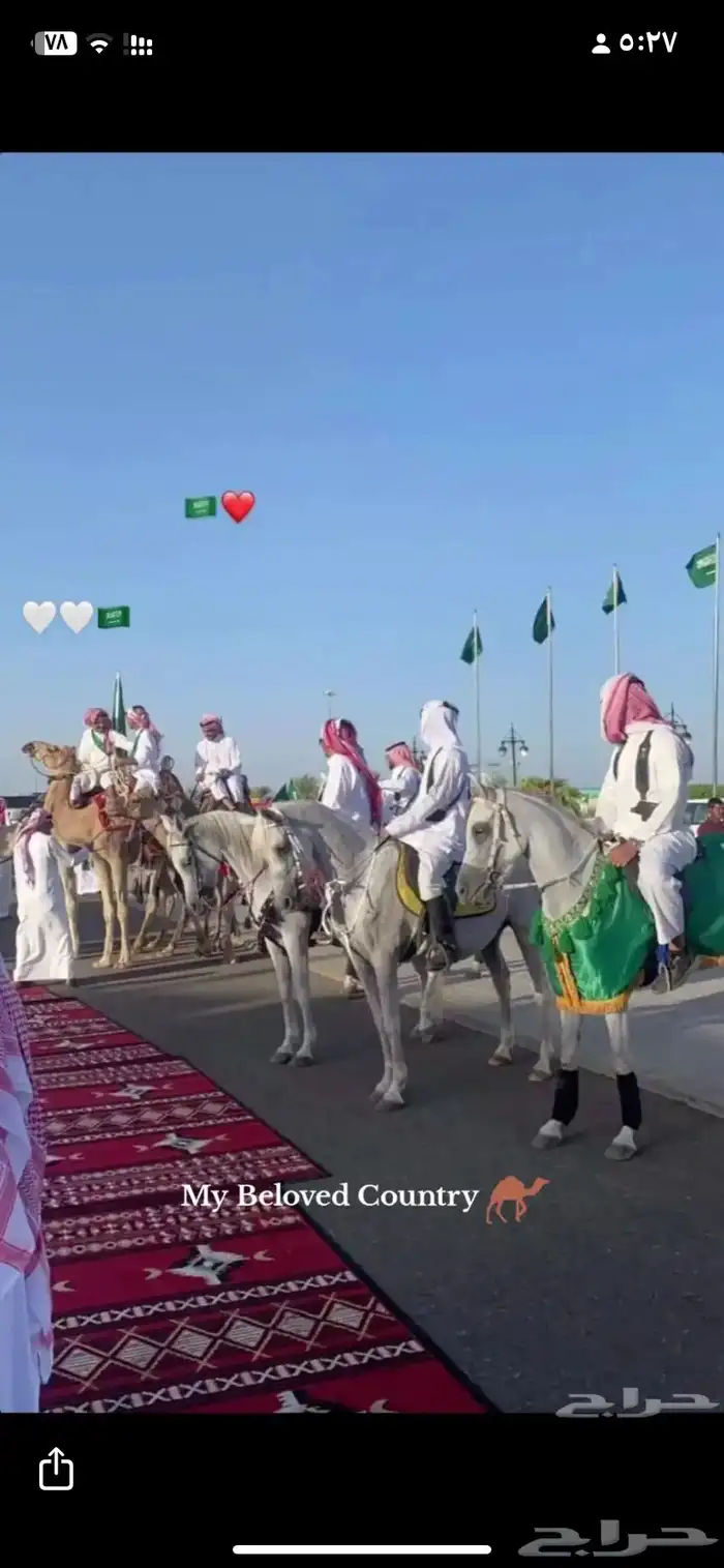 مسيرة خيل ب اسعار ممتازه المدينه المنوره 0