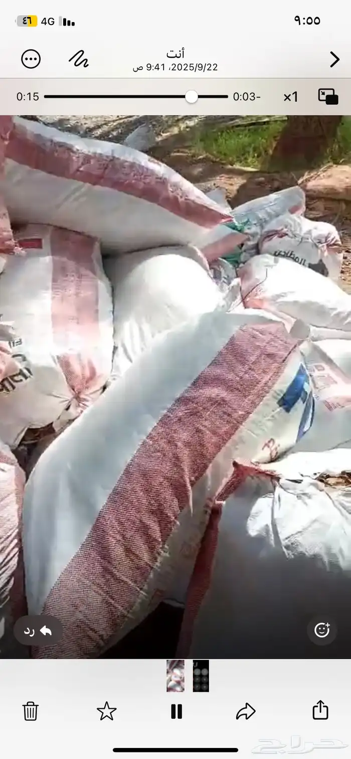 تمر حق حلال ناشف 2