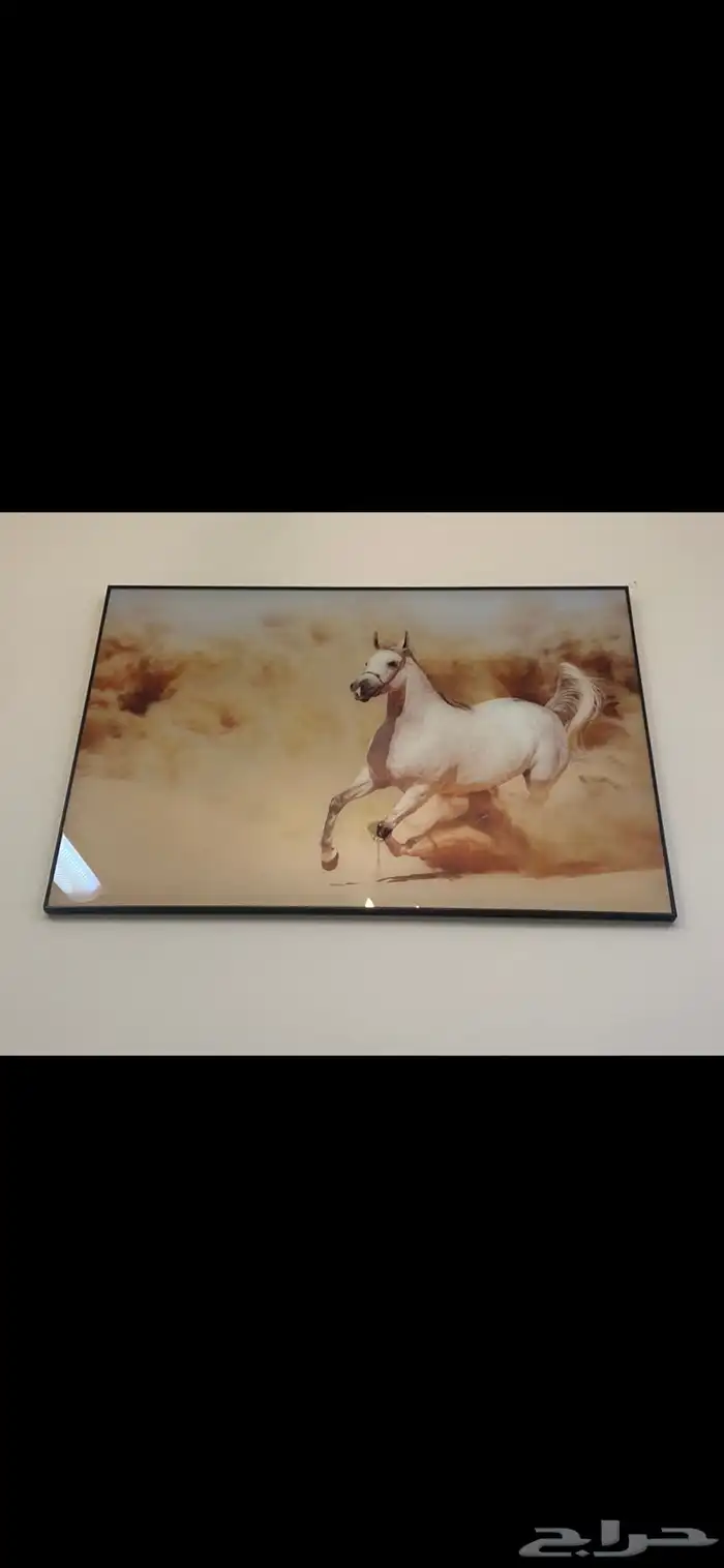 لوحة الحصان العربي الأصيل 0