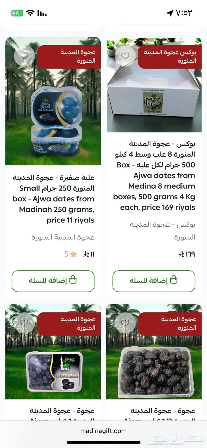 عروض عجوة المدينة المنورة 5