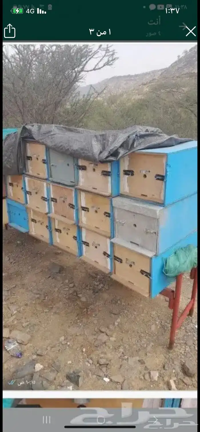 خلايا نحل سحب 6