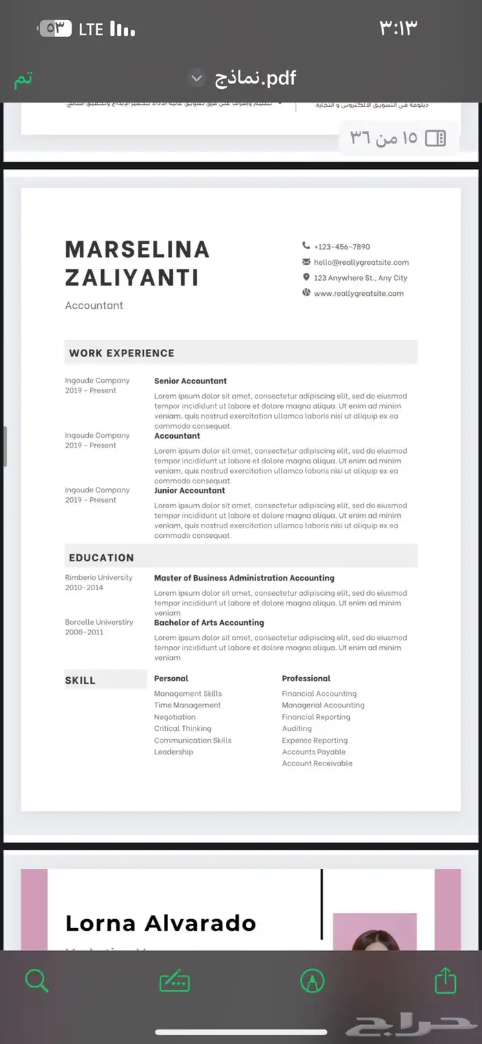 تصميم CV احترافي متوافقة لنظام الATS 16