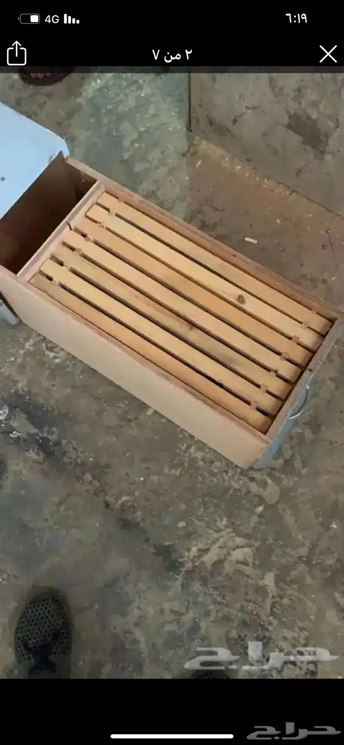 خلايا نحل سحب 4