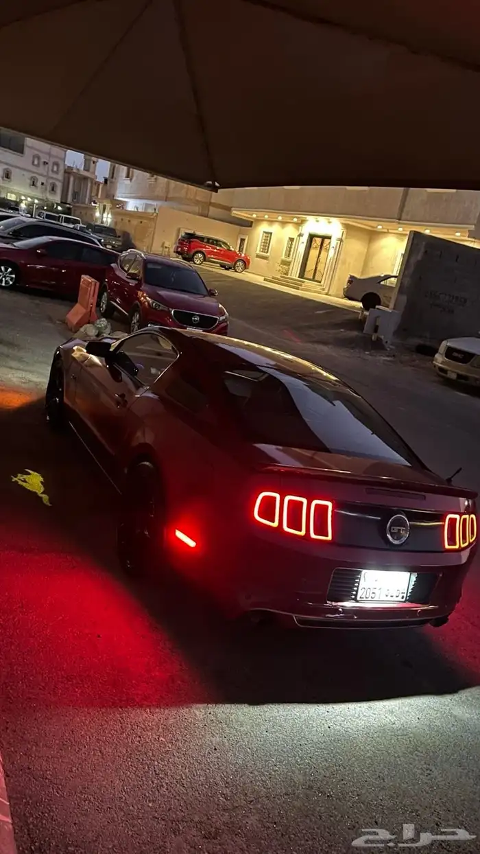 موستنج 2014 1