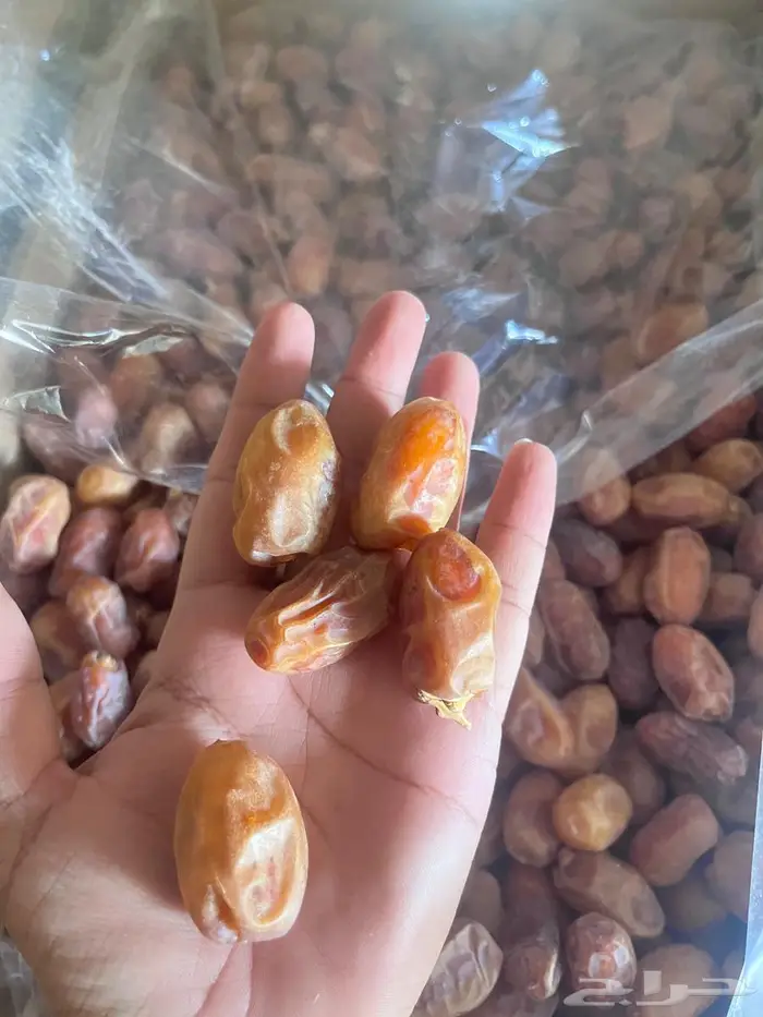 تمر خلاص للبيع 3