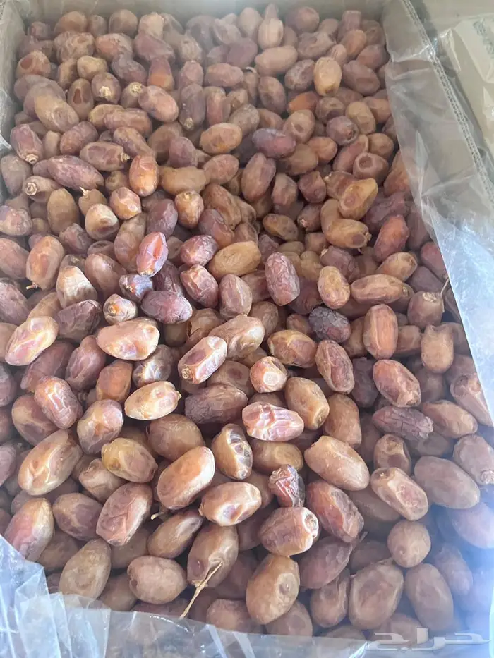 تمر خلاص للبيع 1