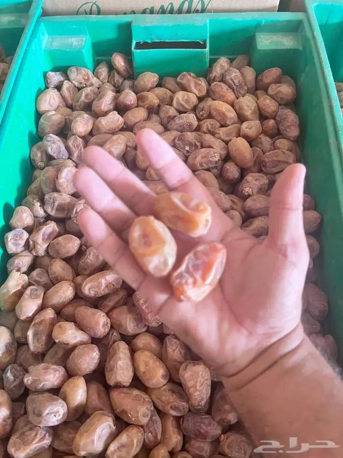 تمر خلاص للبيع 0