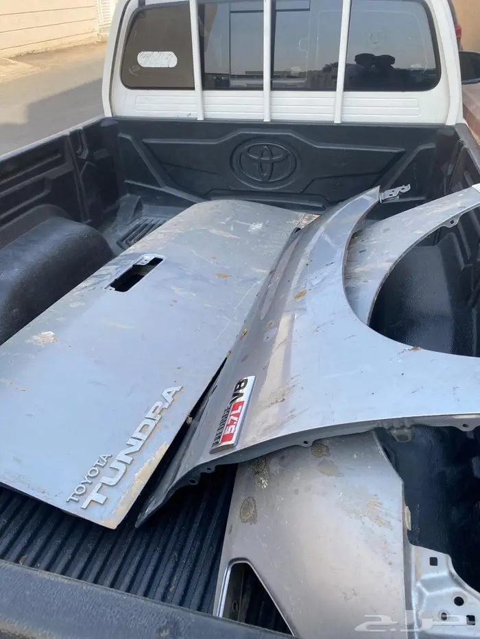 كبوت ورفارف سكويا تندرا 1