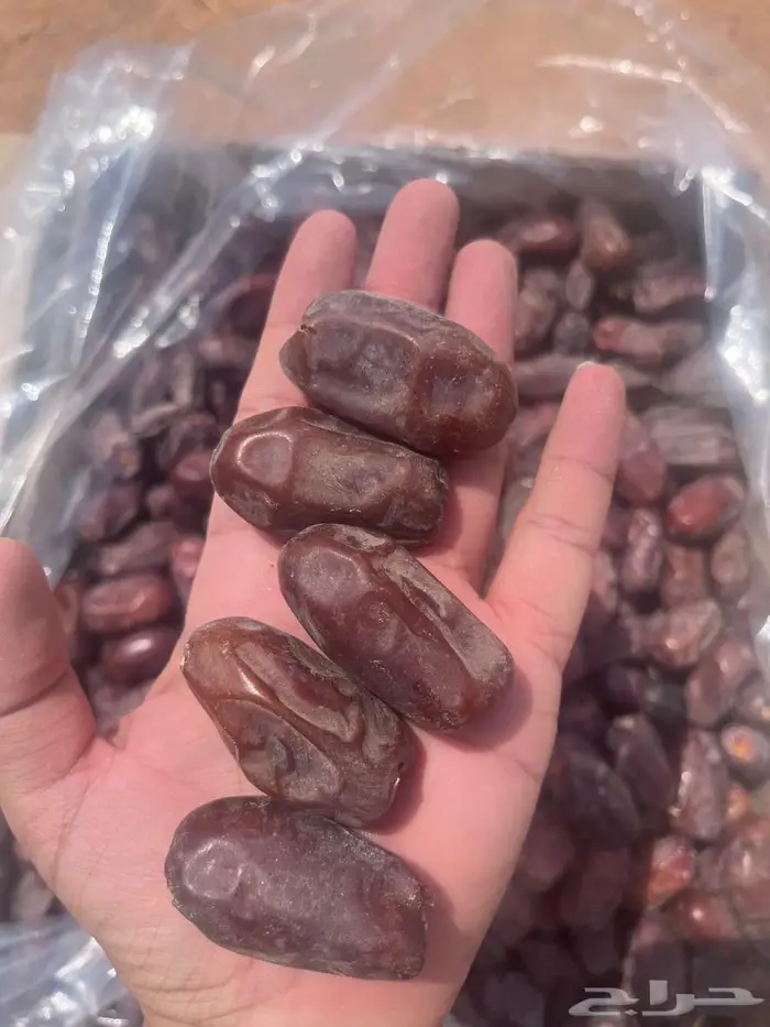 تمر خضري للبيع 0