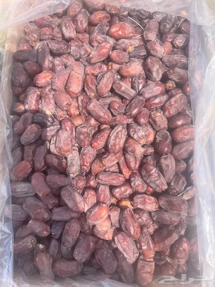 تمر خضري للبيع 2