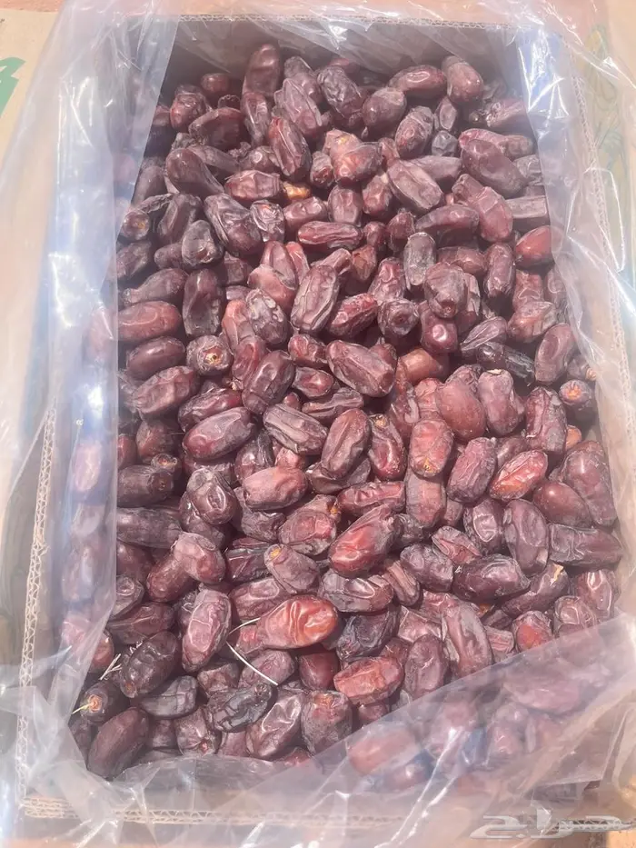 تمر خضري للبيع 1