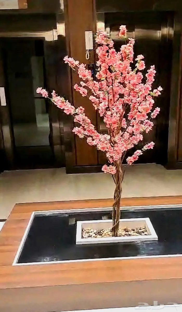 شقة روف مميزة جوار مول العرب 5