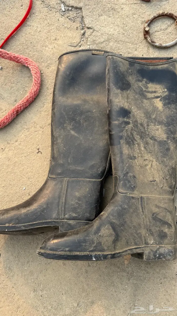 اغراض خيل البيع مستعجل وسمح 2