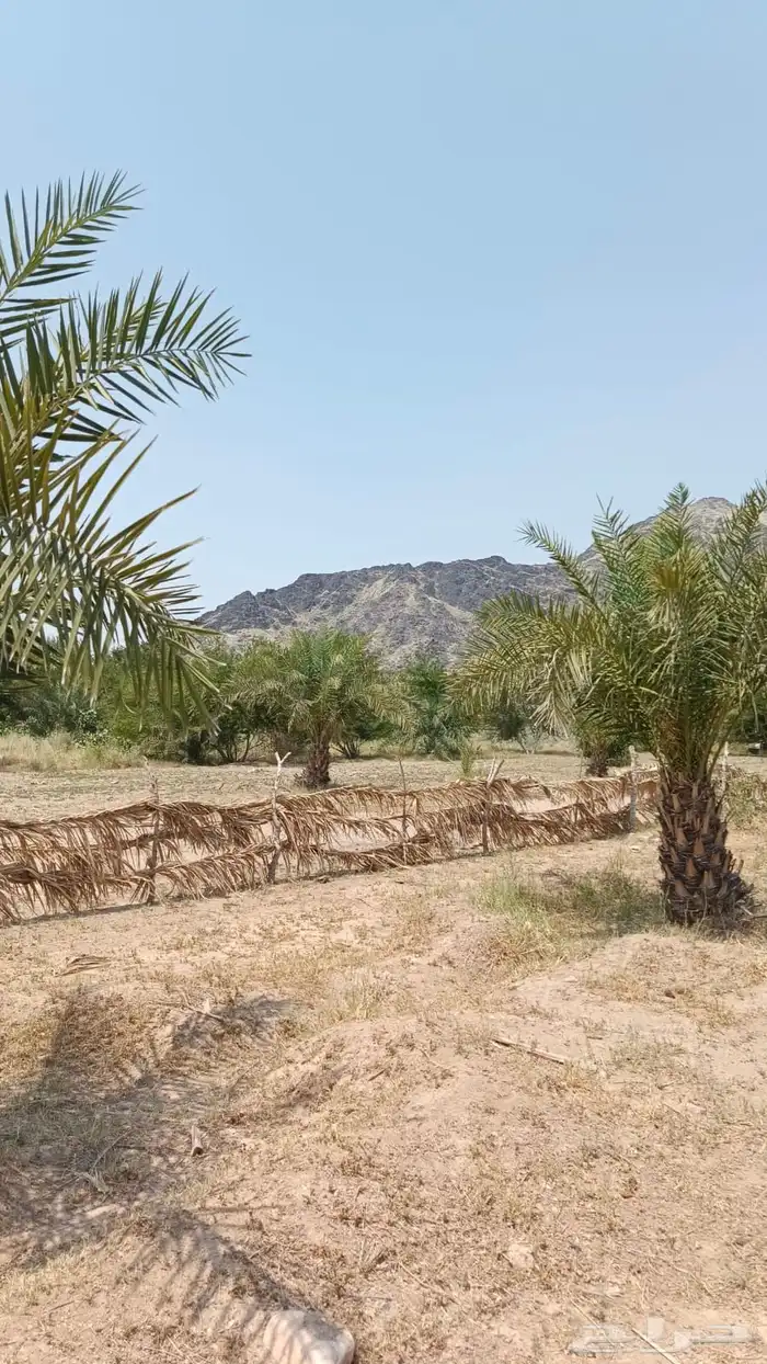للبيع ارض خام في مكة - العكيشية 4