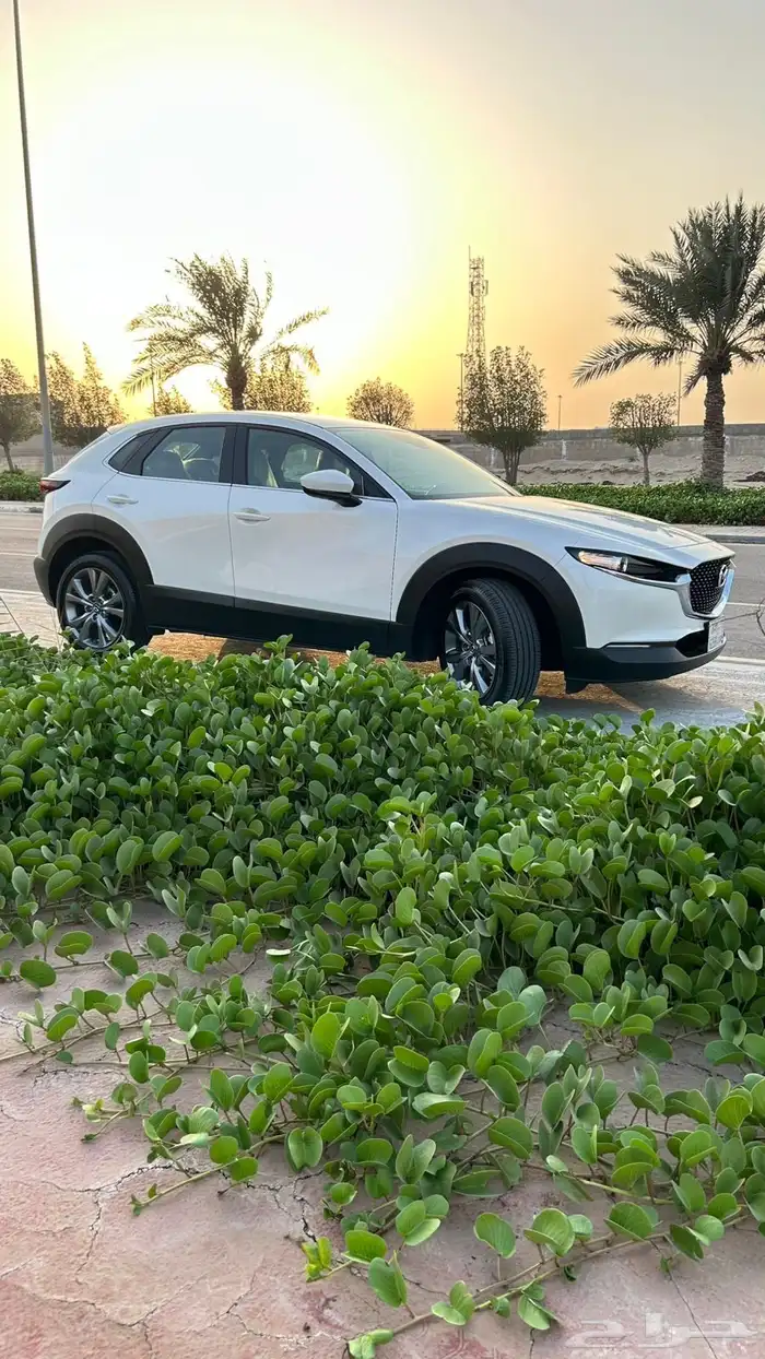 مازدا cx30 بحاله الزيرووو 2025 39
