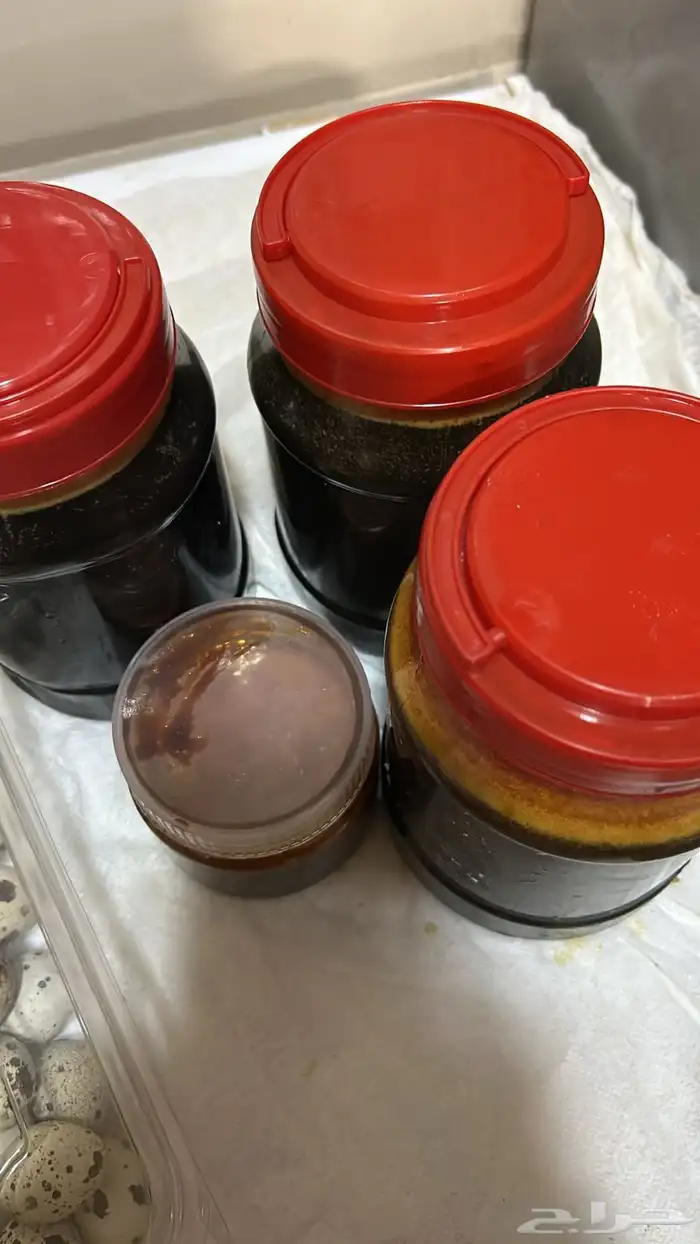 دبس تمر سايل ودبس تمر حلف 0