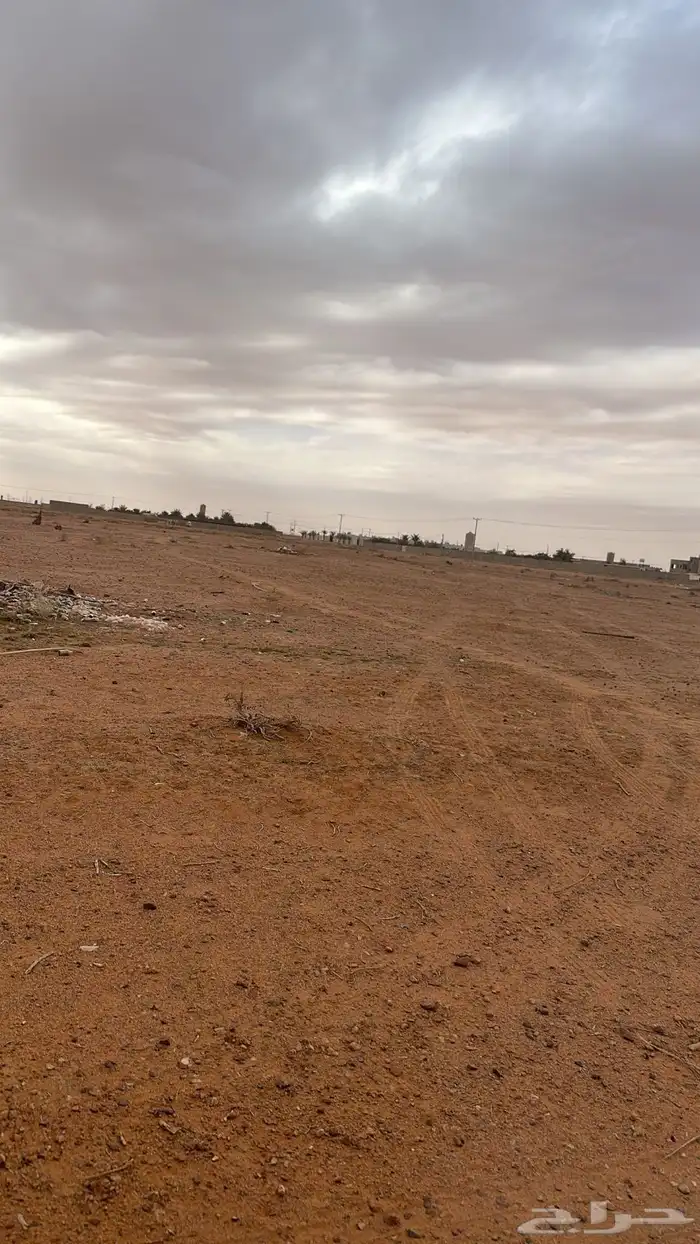 للبيع ارض زراعية بالتربية 50 ألف متر 0