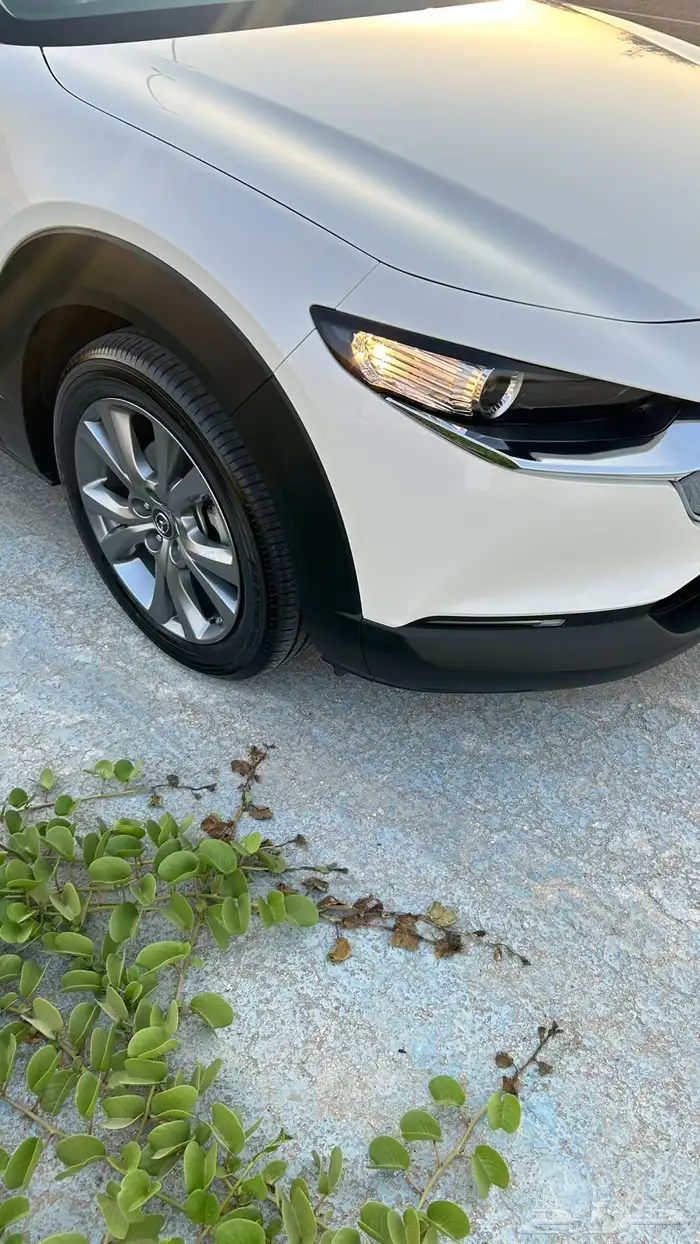 مازدا cx30 بحاله الزيرووو 2025 25