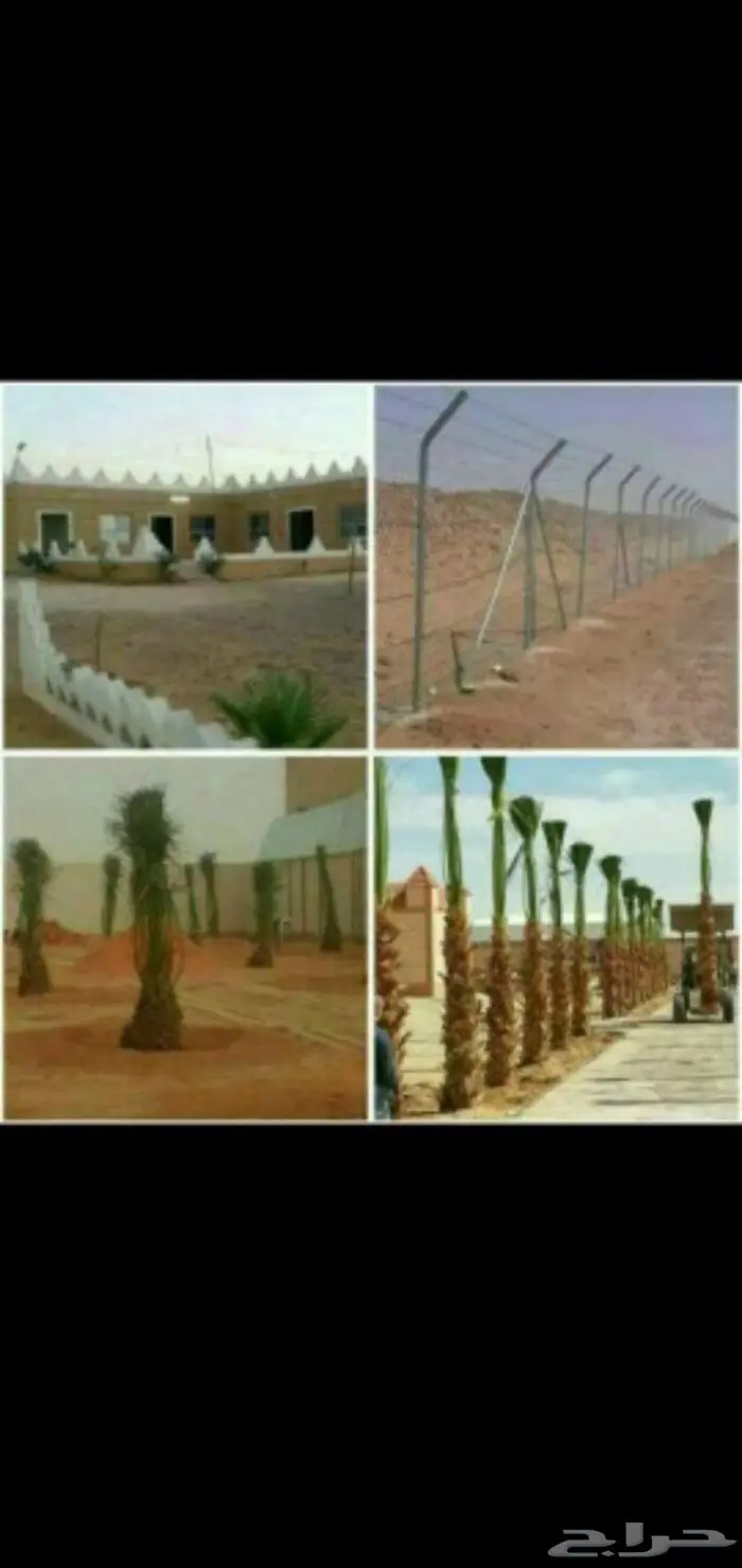 مقاول شبوك ونخيل. 2