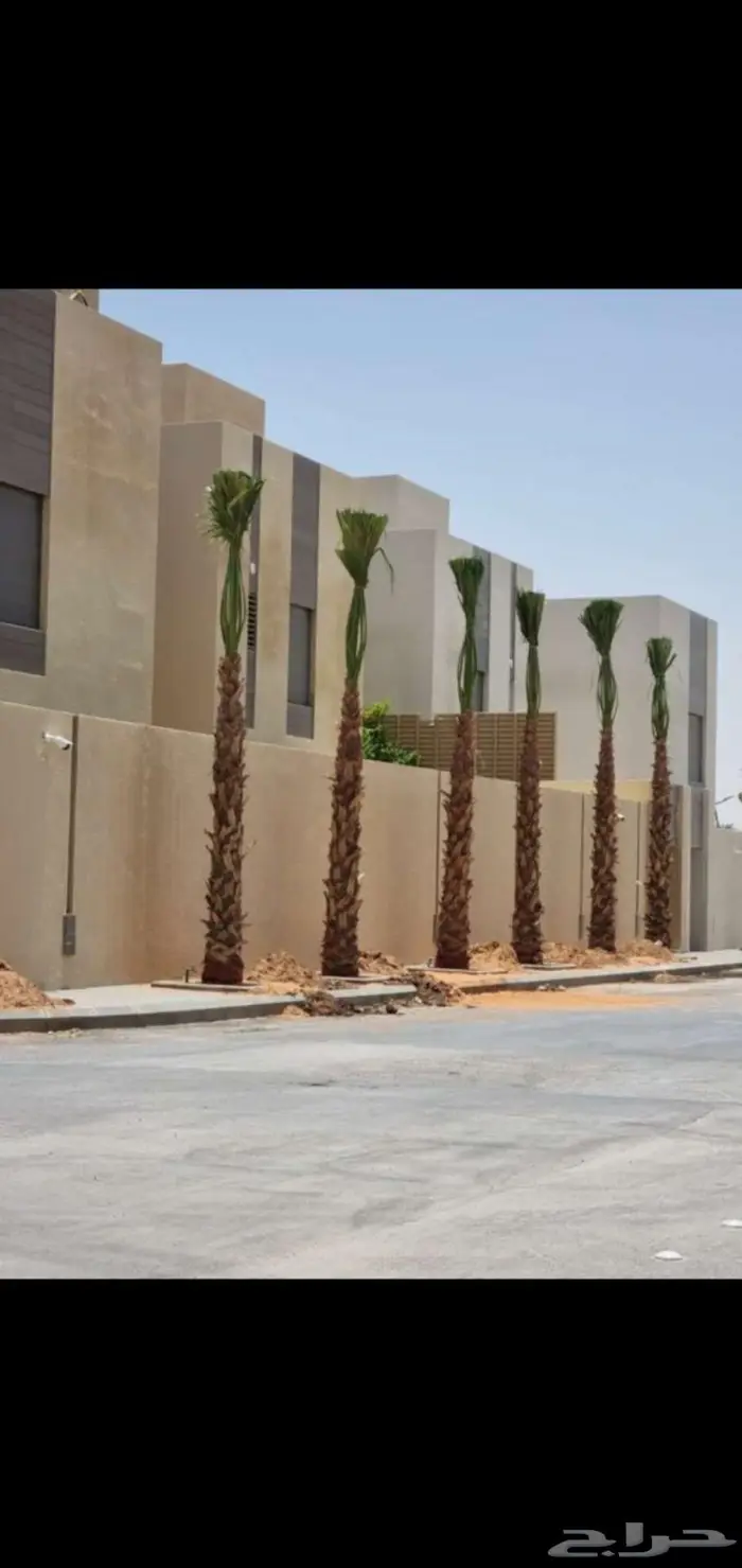 مقاول شبوك ونخيل. 0