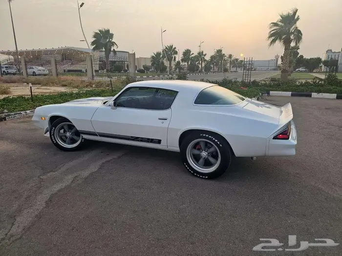 سيارة كلاسيكية نادرة للإيجار والعرض كامارو 1979 5