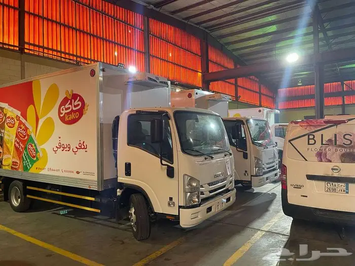 وحدات تبريد ثلاجات صناديق مبردة رافعات هيدروليك 11