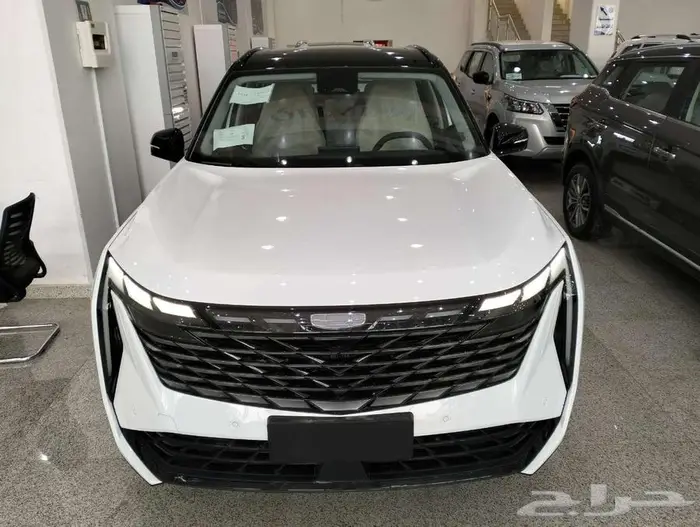 جيلي ستار راي 2024-اقل سعر-عازل حراري هدية 0