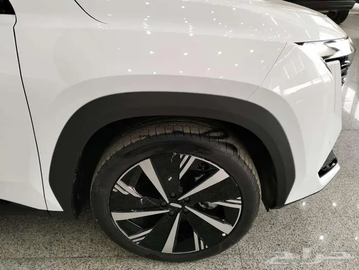 جيلي ستار راي 2024-اقل سعر-عازل حراري هدية 4