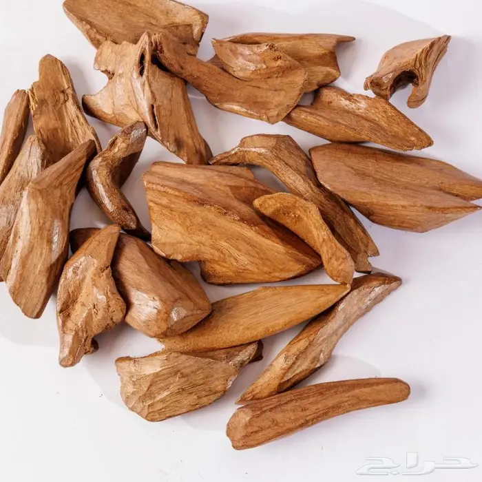 عرض اليوم الوطني عود دبل سوبر مروكي محسن فاخر 1