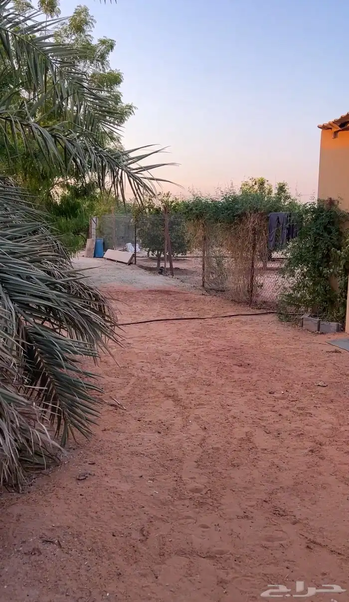 رياض الخبراء 7