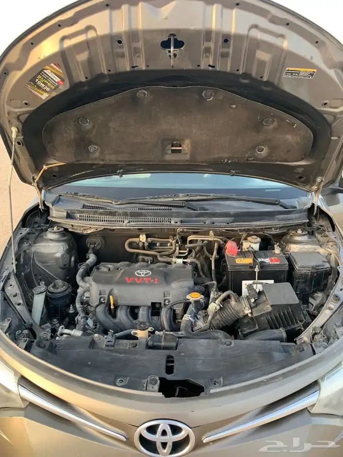 عسير بيشة 13