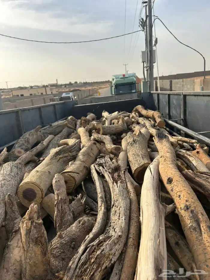 ديناء للبيع 0