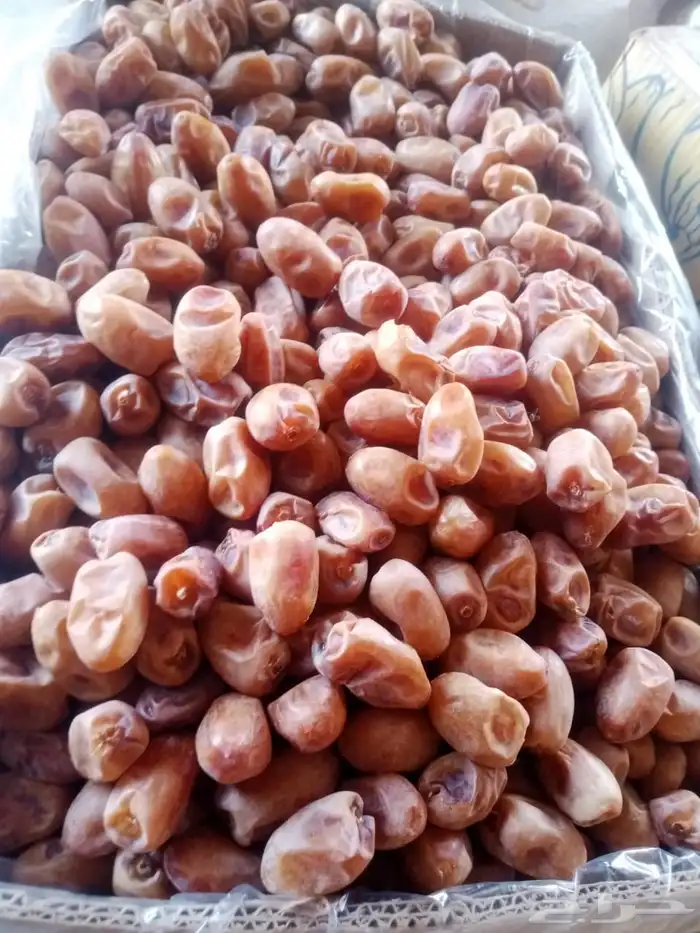 تمر اخلاص فله 20 كيلو 5