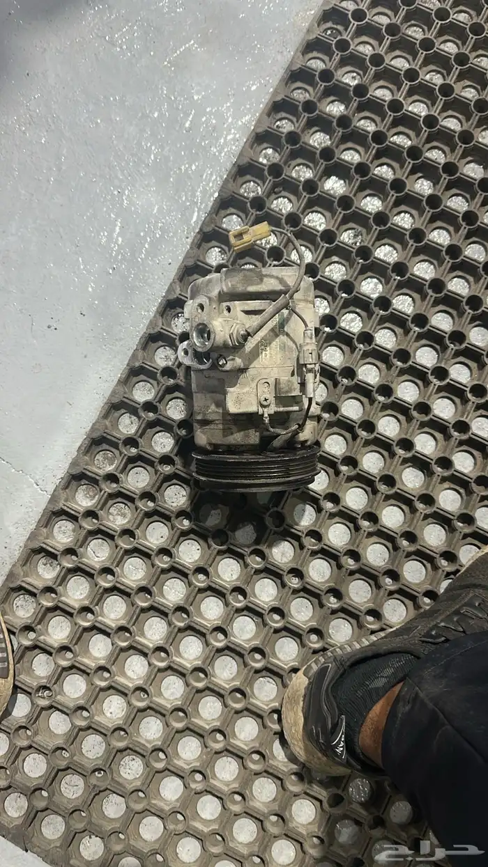 ابوعبد الكريم 13