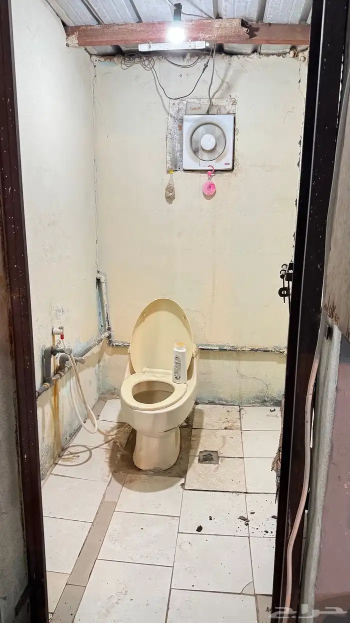 اسطبل للبيع 16