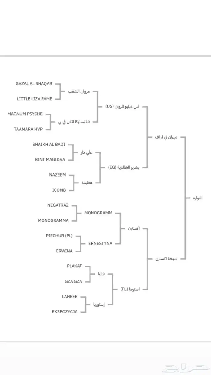 مهرة عربية ما شاء الله تبارك الله للبيع 3
