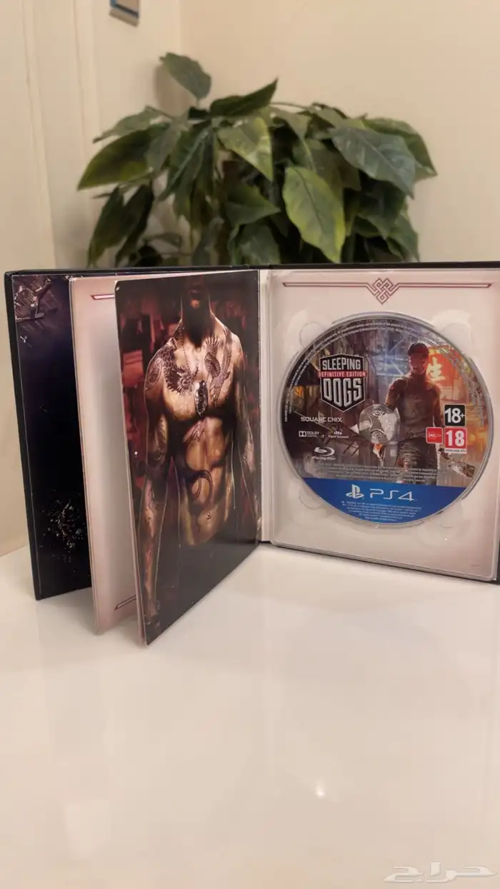 سليبنق دوق ارت بوك Sleeping dog art book On PS4 1