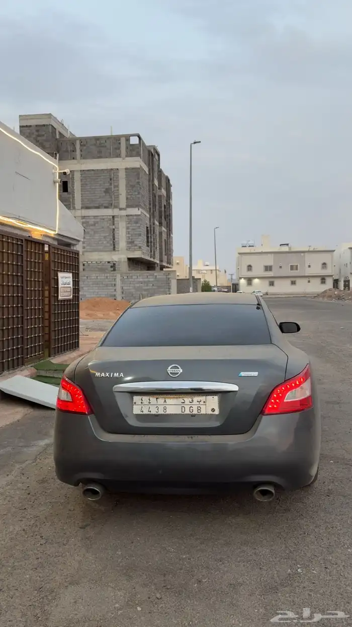 مكسيما 11 3