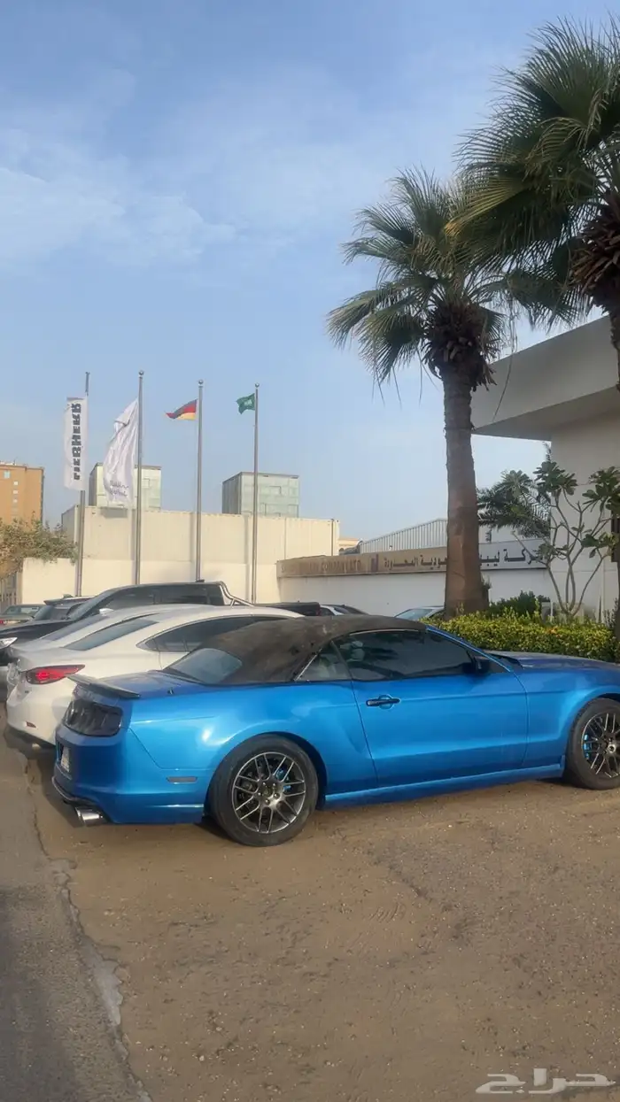 موستنق 2013 كشف 9