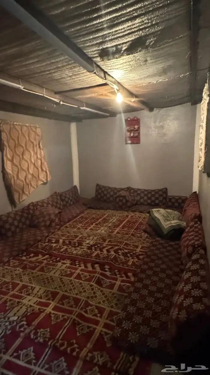 اسطبل للبيع 21