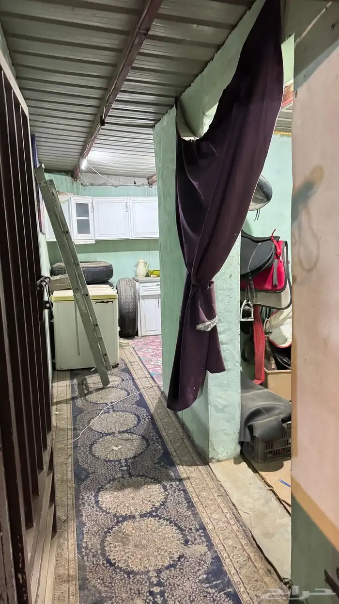 اسطبل للبيع 15