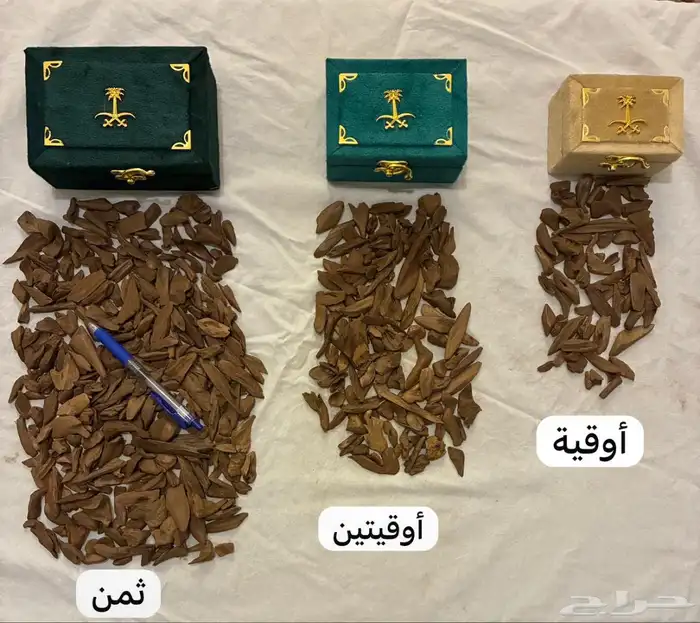 عود موروكي آصقون فاخر ( طبيعي ) سعر منافس 4