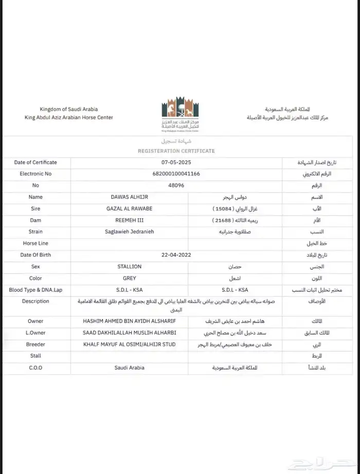 حصان واهو 5