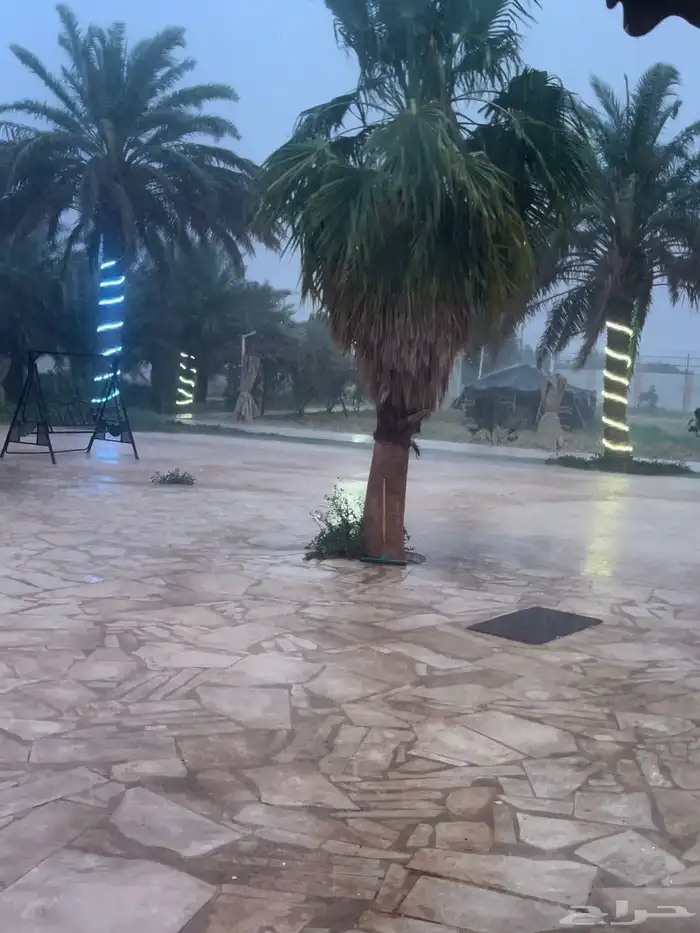 منتجع - إستراحة - للبيع أو للإيجار السنوي 6