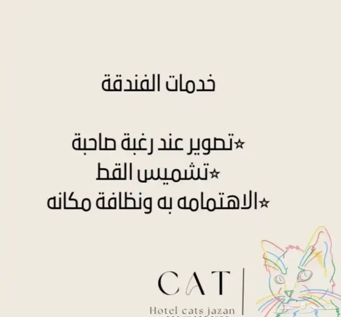 فندقة قطط جازان 3