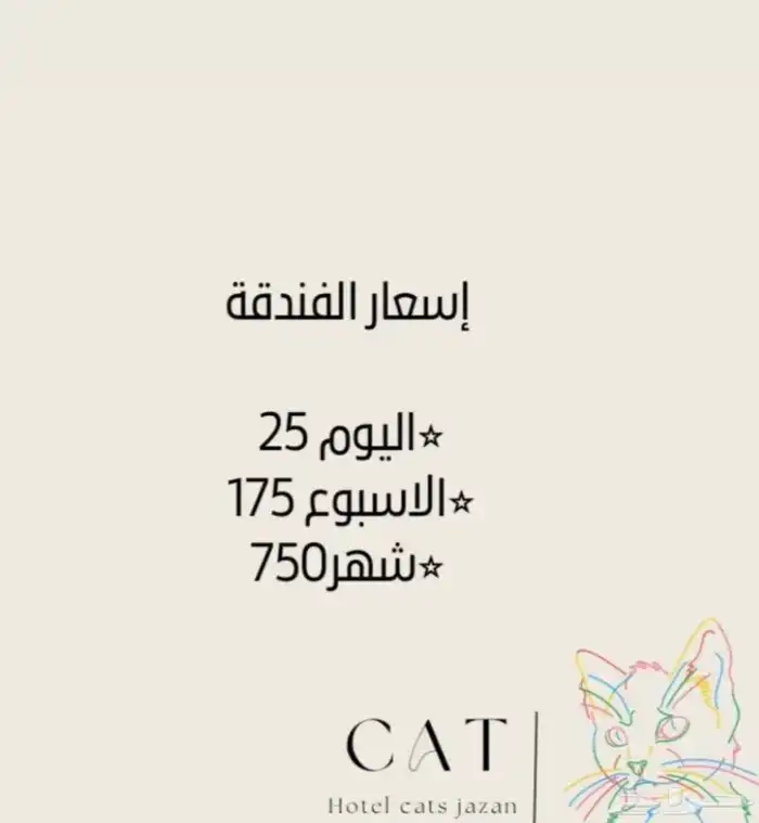 فندقة قطط جازان 1